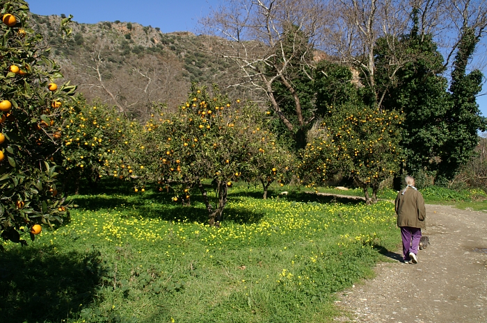 PICT2201 small ORANGE PATH with  KITI MILLI .jpg - 378815 Bytes